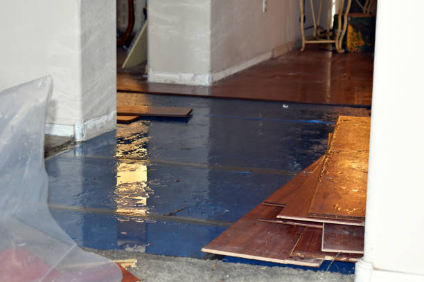 Professional Basement Flood Cleanup technician working in Dunlap, IL